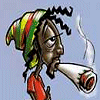 Avatar alcohol fiesta cannabis