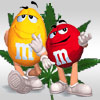 Avatar alcohol fiesta cannabis