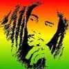 Avatar alcohol fiesta cannabis