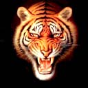 Avatar animales