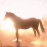 Avatar animales