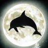 Avatar animales