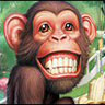 Avatar animales