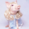 Avatar animales