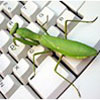 Avatar animales