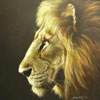 Avatar animales