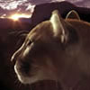 Avatar animales