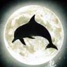 Avatar animales