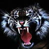 Avatar animales