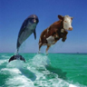 Avatar animales
