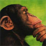 Avatar animales