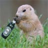 Avatar animales