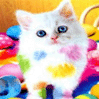 Avatar gatos