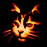 Avatar gatos
