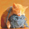 Avatar gatos