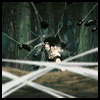 anime anime