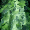 Avatar manga anime - sdk manga