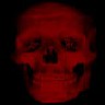 Avatar terror haloween - calaveras