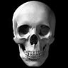 Avatar terror haloween - calaveras