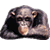 Emoticon animales perros y gatos