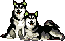 Emoticon animales perros y gatos