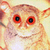 emoticons_artefactos_variados_msnanimal_com-116.gif